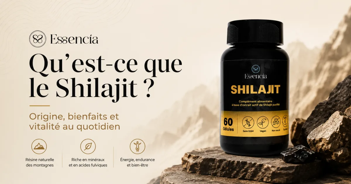 Qu’est-ce que le Shilajit ?